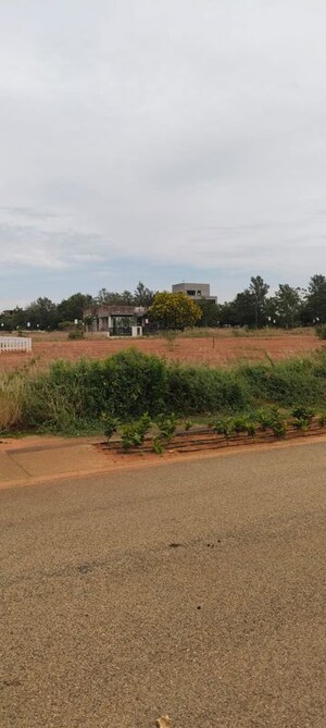 Plot Area in  Plot at Embassy Springs Plots, Devanahalli – for Sale