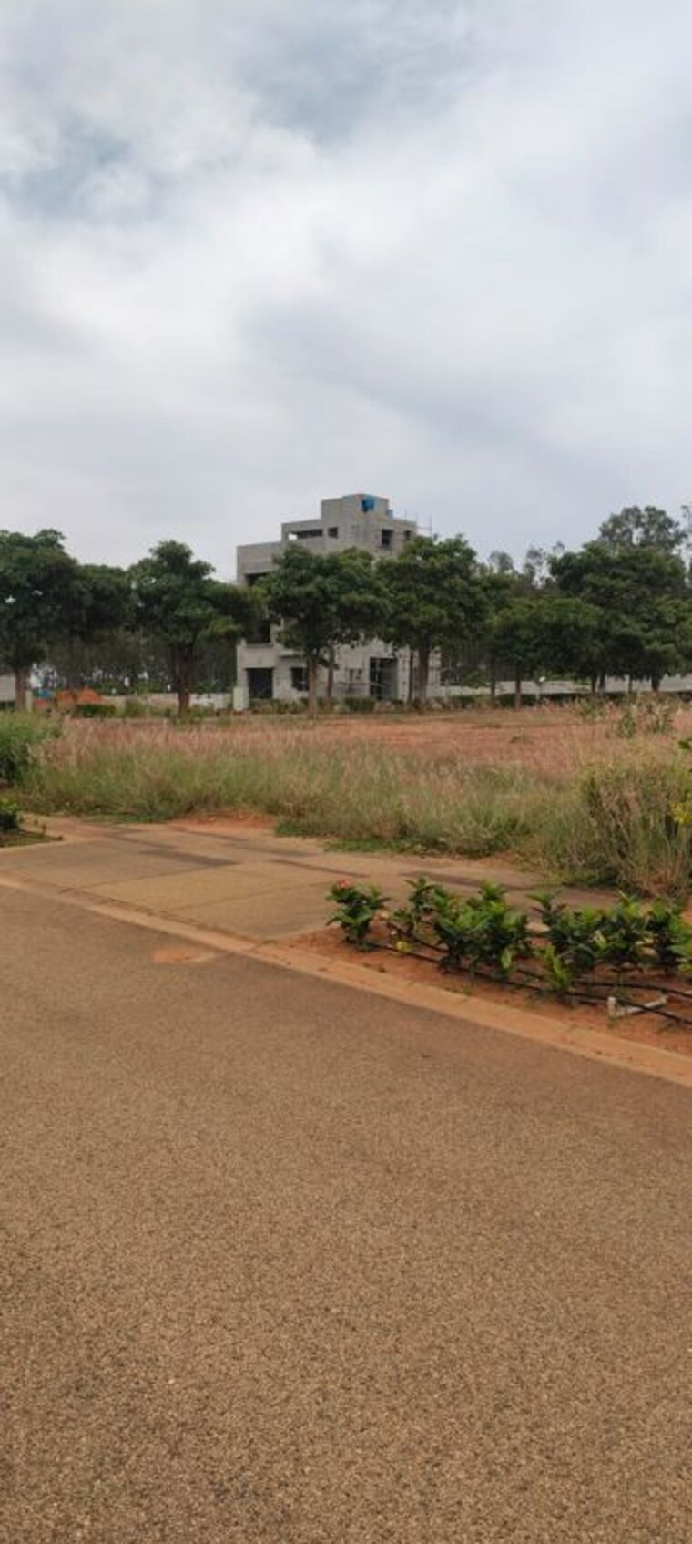 undefined, embassy-springs-plots  3600 Sq.Ft. Plot In Devanahalli Bangalore 10673792