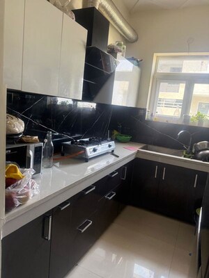 Kitchen in 3 BHK Apartment at Aura Homes, Patiala Road – for Rent