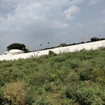 100 Sq.Ft. Plot in Gokul Aangan Sanganer