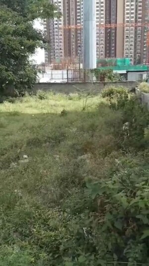 Plot Area in  Plot at Tc Palya Road – for Sale