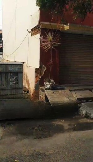 6+ BHK Independent House – Exterior View View at Tc Palya Road - for Sale