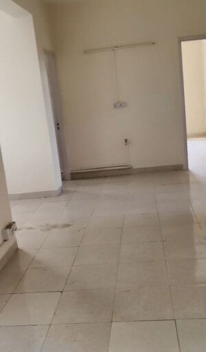 3 BHK Apartment For Rent in Tulip Orange, Sector 70