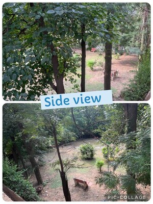 3 BHK Builder Floor – Garden View at Sector 36 - for Rent