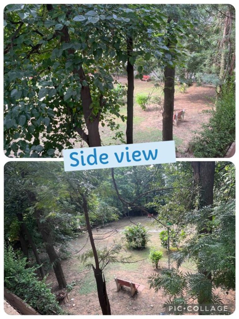 Garden, sector 36 3 Bedroom 2000 Sq.Ft. Builder Floor In Sector 36 Chandigarh 10674186