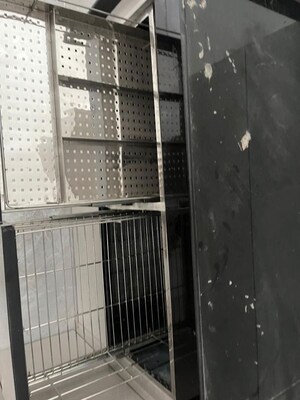 Balcony in 2 BHK Apartment at Renuka Panchtattva, Tathawade – for Rent
