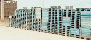  Industrial Plot – Exterior View View at Pipli - for Sale