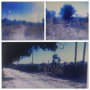 Plot Area in  Land at Nainana Jat – for Sale