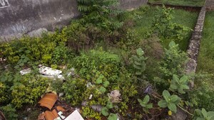  Independent House – Garden View at Mahua Khera - for Sale