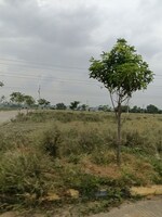 250 Sq.Yd. Plot in Fortune Butterfly City