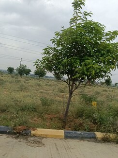 Plot For Sale in Fortune Butterfly City