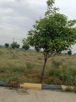  Plot For Sale in Fortune Butterfly City, Kadthal