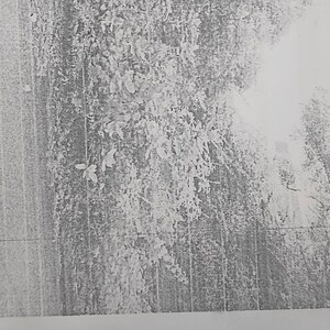   Land at Hebbadi – for Sale