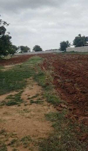  Land For Rent in Yeliminedu