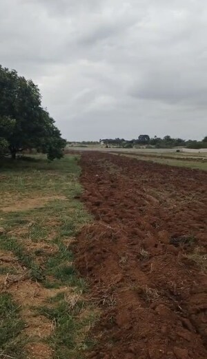 Plot Area in  Land at Yeliminedu – for Rent