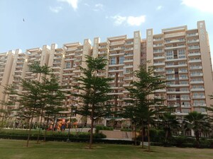 3 BHK Apartment For Sale in Tulip Violet, Sector 69
