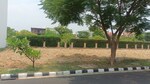 1750 Sq.Ft. Plot in Shalimar Paradise