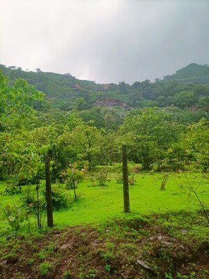  Plot – Exterior View View at Lonavala - for Sale