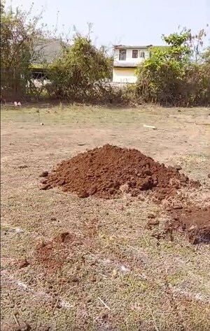  Land For Sale in Alibag