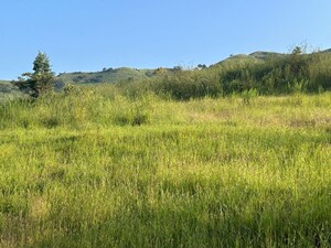 Plot Area in  Plot at Velhe – for Sale