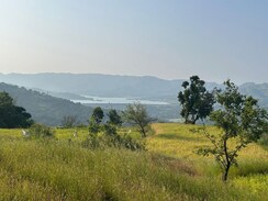 Plot For Sale in Velhe