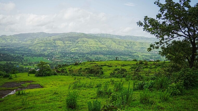 undefined, velhe  11000 Sq.Ft. Plot In Velhe Pune 10675240