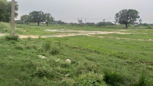 Plot Area in  Land at Umaraha – for Sale