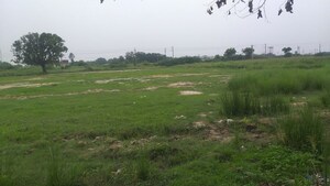 Plot Area in  Land at Umaraha – for Sale