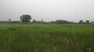 Plot Area in  Land at Umaraha – for Sale