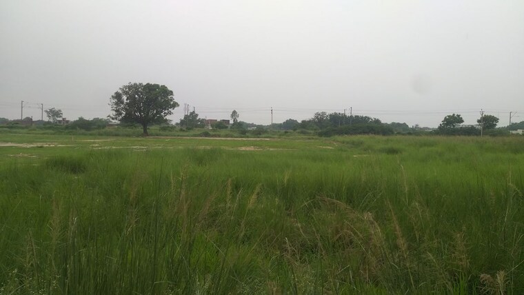 undefined, umaraha Commercial Land 1350 Sq.Ft. In Umaraha Varanasi 10675270