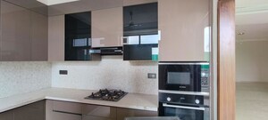 Kitchen in 3 BHK Builder Floor at Sector 22 – for Rent