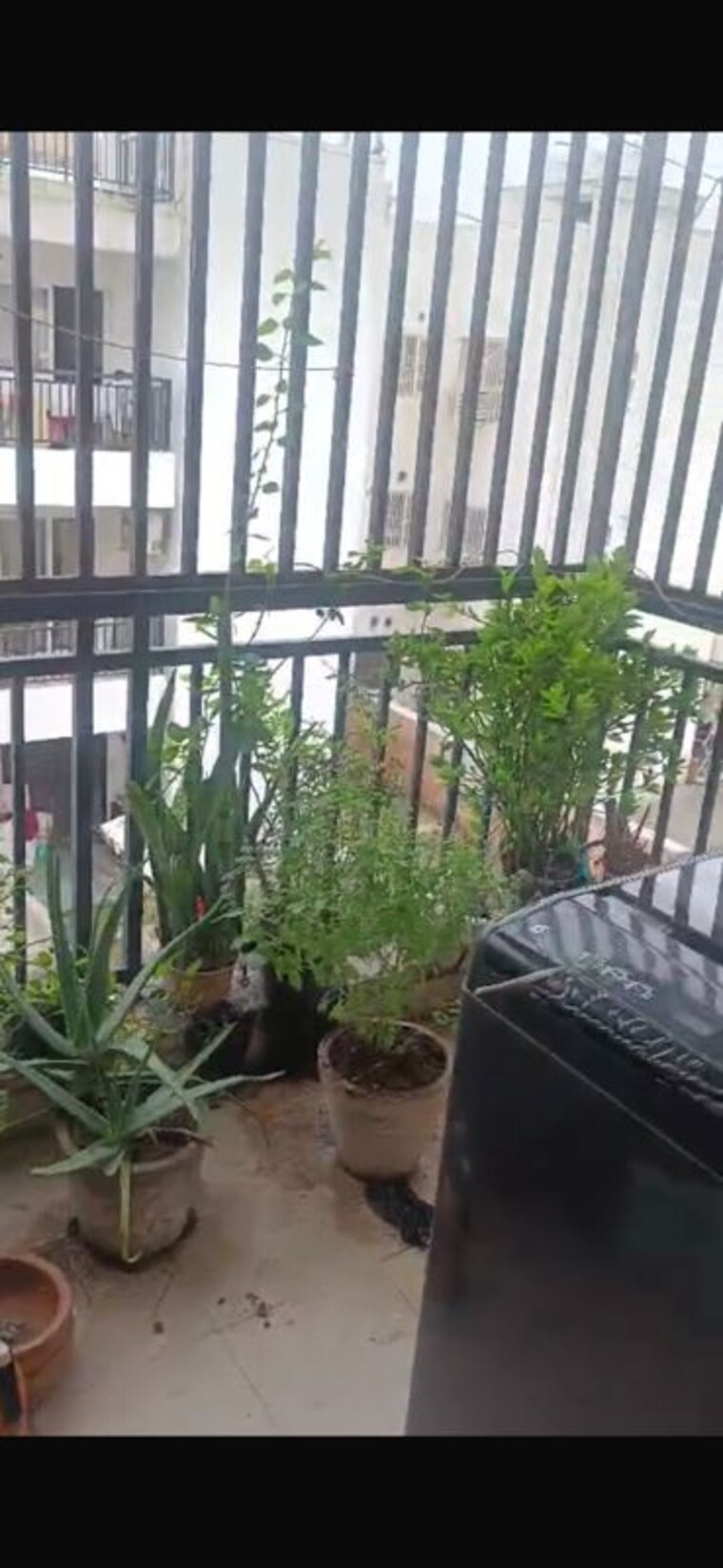 Balcony, sector 84 3 Bedroom 250 Sq.Yd. Villa In Sector 84 Faridabad 10675325