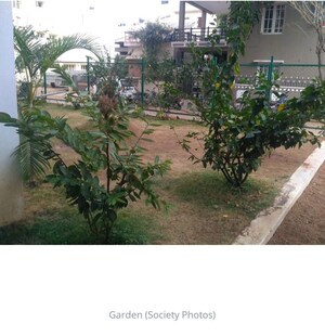 2 BHK Apartment – Garden View at NSR Brindavan Annex, Hsr Layout - for Rent