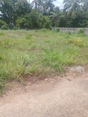 Plot Area in  Plot at Puranattukara – for Sale