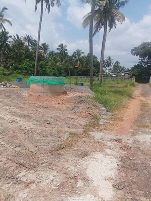 Plot Area in  Plot at Puranattukara – for Sale