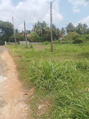 Plot Area in  Plot at Puranattukara – for Sale