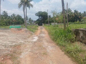 Plot Area in  Plot at Puranattukara – for Sale