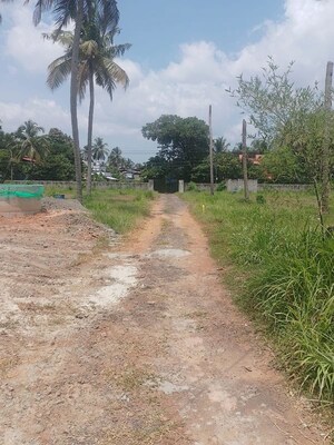 Plot Area in  Plot at Puranattukara – for Sale