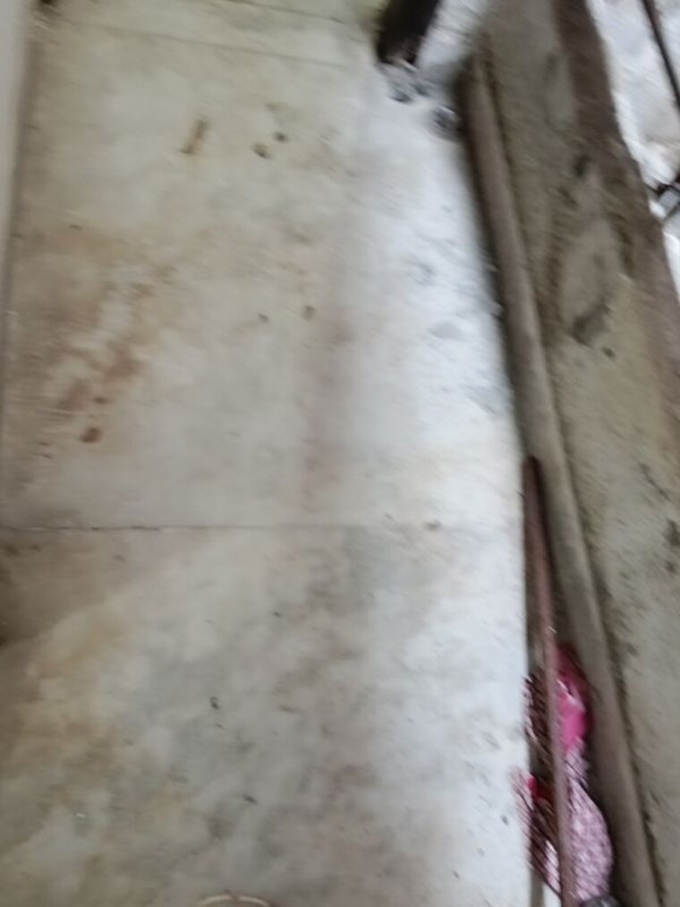 Swimming Pool, saket 1 Bedroom 450 Sq.Ft. Builder Floor In Saket Delhi 10675586