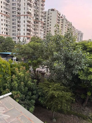 3 BHK Apartment – Exterior View View at Vasundhara Sector 16 - for Rent