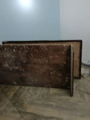 Furnished Amenities in 1 BHK Builder Floor at Saket – for Rent