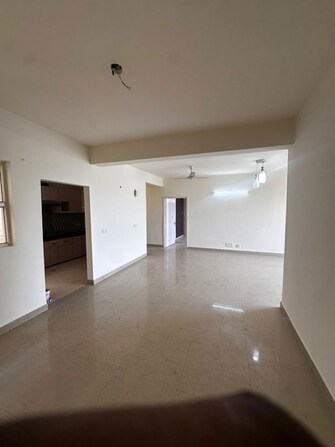 4 BHK +  2400 Sq.Ft. Apartment in Tulip Ivory