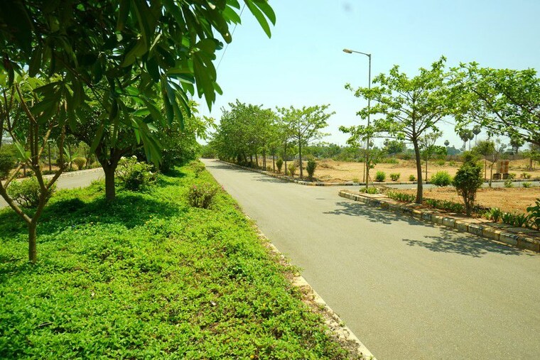 Garden, green-city-aerospace-county  267 Sq.Yd. Plot In Adibatla Hyderabad 10675958
