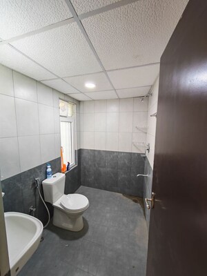 Bathroom in 1 BHK Apartment at Olympia Opaline Crystal And Diamond, Navallur – for Rent