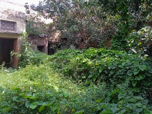  Independent House – Garden View at Ganaur - for Sale