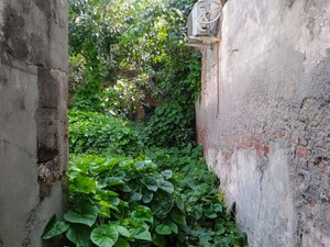 Balcony in  Independent House at Ganaur – for Sale