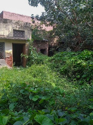 Independent House – Garden View at Ganaur - for Sale