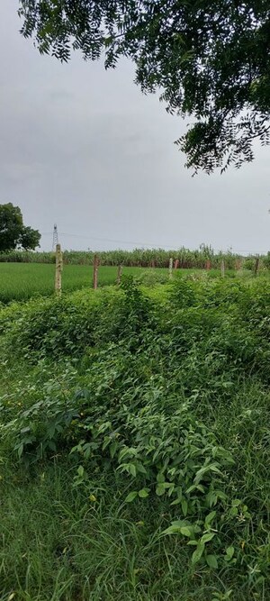 Plot Area in  Plot at Pachgain Khera – for Sale