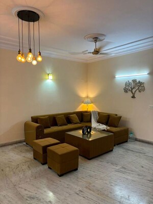 Living Room in 1 BHK Apartment at Hauz Khas – for Rent