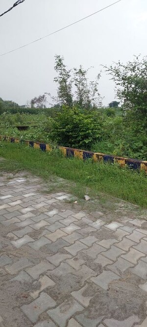  Plot – Exterior View View at Pachgain Khera - for Sale